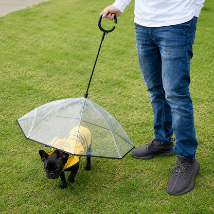 Dog Umbrella